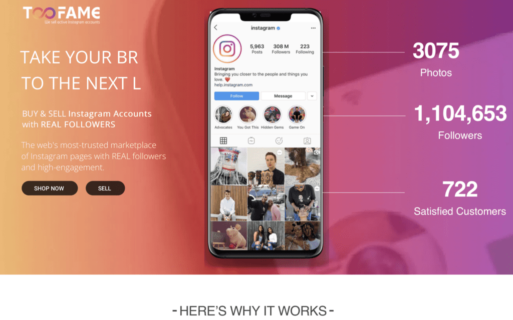 Buy Instagram Accounts 5 Best sites in 2024 (Legit & Safe)